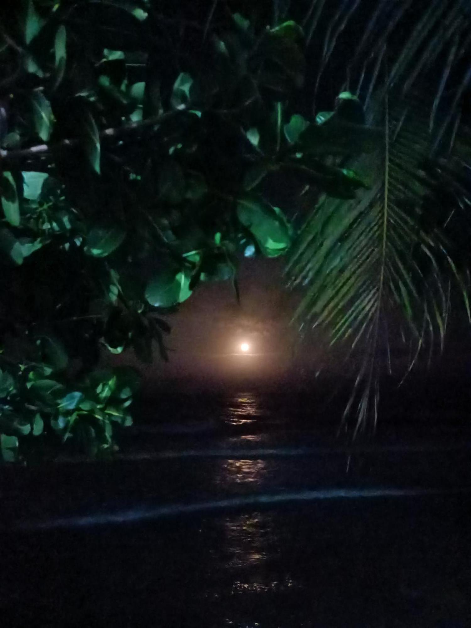 Aal Homestay Sabang  Bagian luar foto